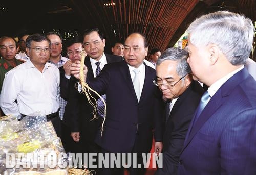 Thủ tướng Nguyễn Xuân Phúc và các đại biểu tham quan các gian hàng trưng bày sản phẩm tại triển lãm về sâm Ngọc Linh Kon Tum và các dược liệu khác. Ảnh: Thống Nhất