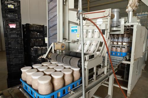 Bà Dương Thị Thu Huệ, Giám đốc Công ty TNHH xuất nhập khẩu Kinoko Thanh Cao giới thiệu với các hội viên Hội phụ nữ Thành phố Hà Nội về vai trò của chuỗi liên kết trong quy trình sản xuất nấm kim châm theo công nghệ Nhật Bản. Trong chuỗi liên kết sản xuất nấm kim châm tại Công ty TNHH xuất nhập khẩu Kinoko Thanh Cao, các khâu đều được tự động hóa.