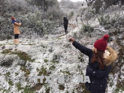 Du khách đã có mặt tại khu vực Thác Bạc và đỉnh đèo Ô Quy Hồ để xem tuyết rơi. Ảnh: Hồng Ninh - TTXVN Du khách đã có mặt tại khu vực Thác Bạc và đỉnh đèo Ô Quy Hồ để xem tuyết rơi. Ảnh: Hồng Ninh - TTXVN