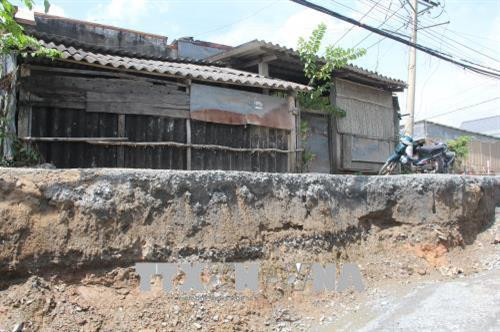 Hiện trường vụ sạt lở đê ở xã Tân Chánh, huyện Cần Đước, Long An. Ảnh: Bùi Giang-TTXVN