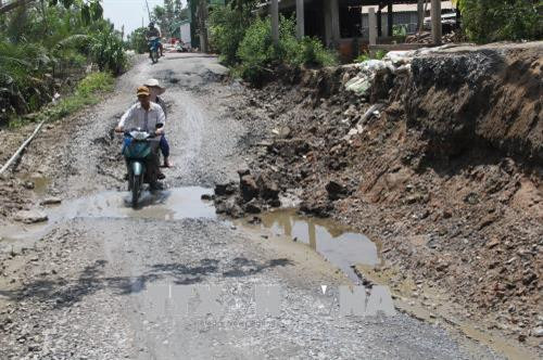 Hiện trường vụ sạt lở đê ở xã Tân Chánh, huyện Cần Đước, Long An. Ảnh: Bùi Giang-TTXVN