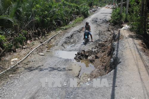 Hiện trường vụ sạt lở đê ở xã Tân Chánh, huyện Cần Đước, Long An. Ảnh: Bùi Giang-TTXVN