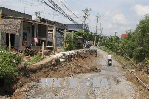 Hiện trường vụ sạt lở đê ở xã Tân Chánh, huyện Cần Đước, Long An. Ảnh: Bùi Giang-TTXVN