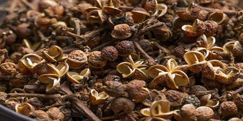 Nộm da trâu Sơn La ảnh 2 Nộm da trâu Sơn La ảnh 2