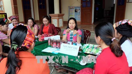 Tư vấn sức khỏe sinh sản cho người dân xã Bồng Khê, huyện Con Cuông, tỉnh Nghệ An. Ảnh: Bích Huệ - TTXVN