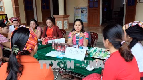 Tư vấn sức khỏe sinh sản cho người dân xã Bồng Khê, huyện Con Cuông, tỉnh Nghệ An. Ảnh: Bích Huệ - TTXVN Tư vấn sức khỏe sinh sản cho người dân xã Bồng Khê, huyện Con Cuông, tỉnh Nghệ An. Ảnh: Bích Huệ - TTXVN