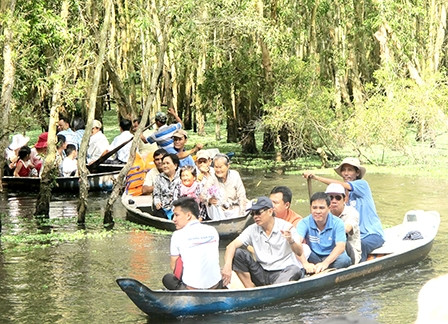 Độc đáo “rừng nổi” Trà Sư ảnh 2 Độc đáo “rừng nổi” Trà Sư ảnh 2