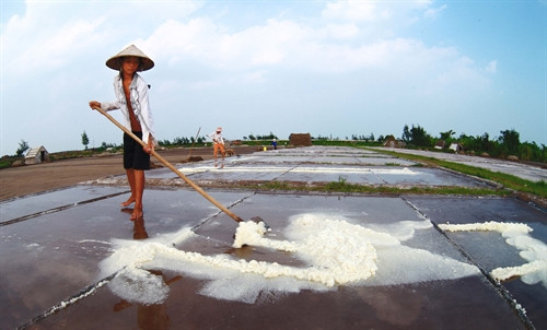 Diêm dân thu hoạch muối tại xã Hải Đông.