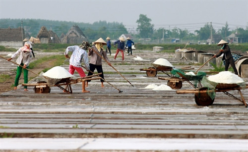 Làm muối chưa bao giờ là công việc nhàn hạ