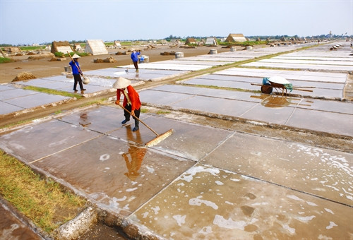 Những ruộng muối trên cánh đồng muối trắng