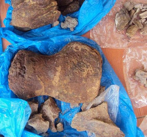 Xương voi châu Á trong hố khai quật chứng tỏ môi trường rung rậm quanh Hà Nội cách nay 3.000 năm. Ảnh: tienphong.vn Xương voi châu Á trong hố khai quật chứng tỏ môi trường rung rậm quanh Hà Nội cách nay 3.000 năm. Ảnh: tienphong.vn