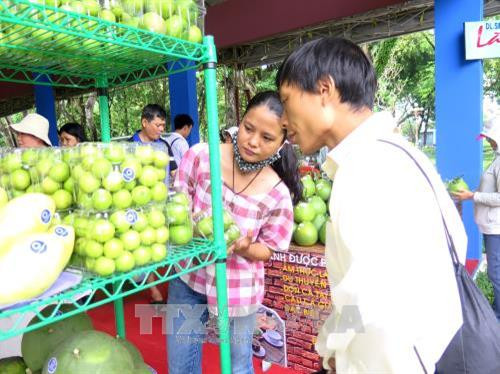 Khách hàng mua rau sạch tại Hội chợ. Ảnh: Hồng Nhung - TTXVN