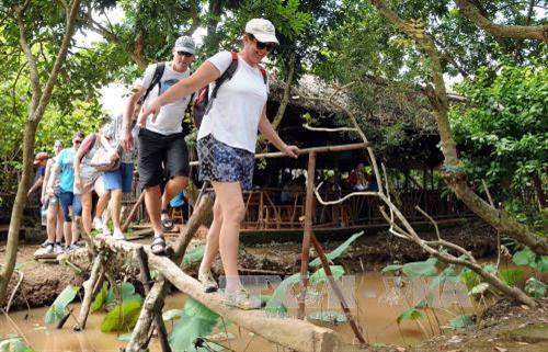 Du khách trải nghiệm đi cầu khỉ tại cù lao Thới Sơn. Ảnh: An Hiếu - TTXVN Du khách trải nghiệm đi cầu khỉ tại cù lao Thới Sơn. Ảnh: An Hiếu - TTXVN