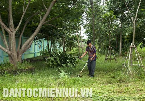 Công tác chỉnh trang xanh sạch đẹp cho các tuyến đường giao thông, đảm bảo tiêu chí vệ sinh môi trường Công tác chỉnh trang xanh sạch đẹp cho các tuyến đường giao thông, đảm bảo tiêu chí vệ sinh môi trường