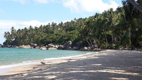 Bãi biển hoang sơ không bóng người trên Hòn Sơn. Ảnh: Tân Nguyên