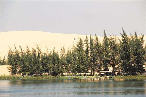 Đồi cát Bàu Trắng thuộc địa phận thôn Hồng Lâm, xã Hòa Thắng là một điểm du lịch nổi tiếng của huyện Bắc Bình