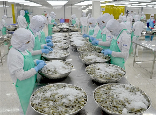 Một cơ sở chế biến hàng thủy sản xuất khẩu ở ĐBSCL Ảnh: TTXVN