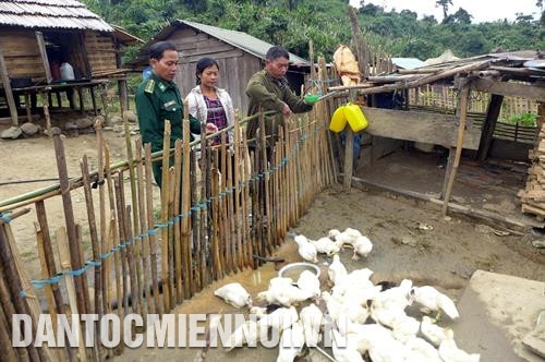 Đồng bào dân tộc ở xã Đắc Pring, huyện Nam Giang có nhiều đổi thay nhờ biết làm lúa nước, phát triển trồng trọt, chăn nuôi. Ảnh: Đỗ Trưởng