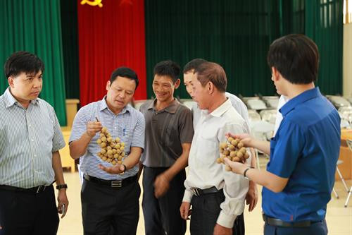 Phó Chủ tịch Thường trực UBND Thành phố Hà Nội Nguyễn Văn Sửu (thứ hai, bên trái) yêu cầu ngành nông nghiệp thành phố cùng các địa phương cần đẩy mạnh phát triển sản phẩm nhãn chín muộn, nâng cao cả sản lượng và chất lượng, để xuất khẩu thêm nhiều thị trường khác trên thế giới. Ảnh: Lê Lan Hương Phó Chủ tịch Thường trực UBND Thành phố Hà Nội Nguyễn Văn Sửu chụp ảnh lưu niệm với Đoàn cán bộ Hội đồng xúc tiến Nông Lâm Ngư nghiệp Nhật Bản nhân dịp đoàn đến thăm Trang trại trồng nhãn chín muộn của hộ gia đình ông Trần Văn Bảy – Phó Chủ tịch Hội sản xuất và kinh doanh nhãn chín muộn huyện Hoài Đức, Hà Nội. Ảnh: Lê Lan Hương Lãnh đạo địa phương và Lãnh đạo Sở Nông nghiệp và Phát triển nông thôn Hà Nội đánh giá chất lượng sản phẩm nhãn chín muộn của xã Đại Thành, huyện Quốc Oai, Hà Nội. Ảnh: Lê Lan Hương Lãnh đạo địa phương và Lãnh đạo Sở Nông nghiệp và Phát triển nông thôn Hà Nội đánh giá chất lượng sản phẩm nhãn chín muộn của xã Đại Thành, huyện Quốc Oai, Hà Nội. Ảnh: Lê Lan Hương Lãnh đạo địa phương và Lãnh đạo Sở Nông nghiệp và Phát triển nông thôn Hà Nội đánh giá chất lượng sản phẩm nhãn chín muộn của xã Đại Thành, huyện Quốc Oai, Hà Nội. Ảnh: Lê Lan Hương