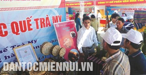 Tỉnh Quảng Nam hiện đang đẩy mạnh xúc tiến thương mại nhằm hình thành chuỗi khép kín từ sản xuất đến tiêu thụ sản phẩm quế. Ảnh: Nguyễn Sơn