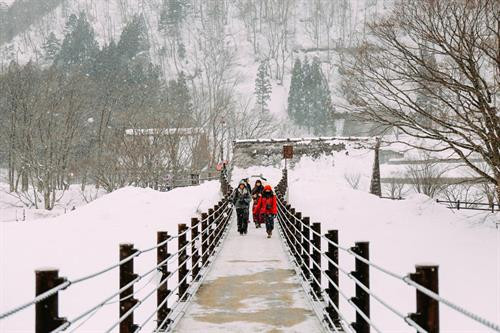 Shirakawago thuộc tỉnh Gifu, Nhật Bản. Đây là một trong những ngôi làng độc đáo của xứ Phù Tang. Mặc cho những biến đổi về kinh tế, thiên tai, Shirakawago vẫn giữ nguyên hình dáng, kiến trúc từ 400 năm trước. Shirakawago chỉ cách các thành phố lớn như Nagoya hay Kanazawa 2-3 tiếng đi xe buýt. Làng được UNESCO công nhận là di sản thế giới từ năm 1995. Hiện Shirakawago có khoảng 114 ngôi nhà với hơn 20 căn nhà cổ bằng gỗ được gìn giữ gần như nguyên vẹn. Điểm đặc biệt của những căn nhà này là mái nhà được thiết kế như bàn tay chắp vào nhau để cầu nguyện. Thiết kế này vừa mang tính tôn giáo vừa để chống chọi với những trận bão tuyết. Trong tiếng Nhật Bản, Shirakawago có nghĩa là bạch xuyên hương, tức làng của những con sông trắng. Người dân ở đây vẫn gìn giữ và duy trì nhiều nghi lễ cổ xưa có từ thế kỷ XVII. Một trong những lễ hội đặc biệt nhất ở đây là "Shirakawago Winter Light-up". Vào mùa đông, cả ngôi làng sẽ thắp sáng vào 6 đêm trong 3 tuần (mỗi tuần 2 đêm). Mỗi năm, làng Shirakawago chỉ lên đèn 6 lần nên mặc cho thời tiết giá lạnh, hàng nghìn du khách vẫn đổ về đây để được chiêm ngưỡng cảnh tượng đặc biệt này. Mỗi đêm, chỉ 500 du khách được leo lên đỉnh núi để chiêm ngưỡng khung cảnh độc nhất vô nhị này. Giữa tiết trời se lạnh, những ngôi nhà gỗ phủ đầy tuyết trắng đồng loạt lên đèn tạo nên một khung cảnh huyền ảo như bước ra từ một câu chuyện cổ tích. Du khách có thể đến làng Shirakawago suốt 4 mùa trong năm. Mùa nào cũng sẽ có những lễ hội truyền thống rất thú vị. Để vào làng, du khách phải đi qua một cây cầu dây dài 107 m. Người dân gọi đây là cầu Deaibasi, có nghĩa là cầu Kỳ duyên với mong muốn mọi người luôn hòa thuận, sum vầy. Mùa đông, cây cầu được phủ tuyết trắng, mùa xuân tuyết tan tạo thành một con suối nhỏ ngày đêm róc rách chảy. Trước cổng làng có một con sông nhỏ chạy men theo bìa rừng. Vào mùa thu, những hàng cây thay lá dọc 2 bờ sông tạo nên một khung cảnh lãng mạn cho làng cổ Shirakawago. Nhiệt độ trung bình ở làng Shirakawago vào mùa đông luôn dưới 0 độ C. Vào những ngày này, người dân rất ít ra ngoài, mọi sinh hoạt gia đình đều gói gọn trong ngôi nhà gỗ 3 tầng. Tầng một thường là phòng sum vầy, có lò sưởi. Các tầng tiếp theo dùng để nuôi tằm hoặc chứa các dụng cụ nông nghiệp. Ngày nay người dân ở Shirakawago không còn làm nông nhiều, những tầng này chủ yếu phục vụ du khách tham quan. Shirakawago thuộc tỉnh Gifu, Nhật Bản. Đây là một trong những ngôi làng độc đáo của xứ Phù Tang. Mặc cho những biến đổi về kinh tế, thiên tai, Shirakawago vẫn giữ nguyên hình dáng, kiến trúc từ 400 năm trước. Shirakawago chỉ cách các thành phố lớn như Nagoya hay Kanazawa 2-3 tiếng đi xe buýt. Làng được UNESCO công nhận là di sản thế giới từ năm 1995. Hiện Shirakawago có khoảng 114 ngôi nhà với hơn 20 căn nhà cổ bằng gỗ được gìn giữ gần như nguyên vẹn. Điểm đặc biệt của những căn nhà này là mái nhà được thiết kế như bàn tay chắp vào nhau để cầu nguyện. Thiết kế này vừa mang tính tôn giáo vừa để chống chọi với những trận bão tuyết. Trong tiếng Nhật Bản, Shirakawago có nghĩa là bạch xuyên hương, tức làng của những con sông trắng. Người dân ở đây vẫn gìn giữ và duy trì nhiều nghi lễ cổ xưa có từ thế kỷ XVII. Một trong những lễ hội đặc biệt nhất ở đây là "Shirakawago Winter Light-up". Vào mùa đông, cả ngôi làng sẽ thắp sáng vào 6 đêm trong 3 tuần (mỗi tuần 2 đêm). Mỗi năm, làng Shirakawago chỉ lên đèn 6 lần nên mặc cho thời tiết giá lạnh, hàng nghìn du khách vẫn đổ về đây để được chiêm ngưỡng cảnh tượng đặc biệt này. Mỗi đêm, chỉ 500 du khách được leo lên đỉnh núi để chiêm ngưỡng khung cảnh độc nhất vô nhị này. Giữa tiết trời se lạnh, những ngôi nhà gỗ phủ đầy tuyết trắng đồng loạt lên đèn tạo nên một khung cảnh huyền ảo như bước ra từ một câu chuyện cổ tích. Du khách có thể đến làng Shirakawago suốt 4 mùa trong năm. Mùa nào cũng sẽ có những lễ hội truyền thống rất thú vị. Để vào làng, du khách phải đi qua một cây cầu dây dài 107 m. Người dân gọi đây là cầu Deaibasi, có nghĩa là cầu Kỳ duyên với mong muốn mọi người luôn hòa thuận, sum vầy. Mùa đông, cây cầu được phủ tuyết trắng, mùa xuân tuyết tan tạo thành một con suối nhỏ ngày đêm róc rách chảy. Trước cổng làng có một con sông nhỏ chạy men theo bìa rừng. Vào mùa thu, những hàng cây thay lá dọc 2 bờ sông tạo nên một khung cảnh lãng mạn cho làng cổ Shirakawago. Nhiệt độ trung bình ở làng Shirakawago vào mùa đông luôn dưới 0 độ C. Vào những ngày này, người dân rất ít ra ngoài, mọi sinh hoạt gia đình đều gói gọn trong ngôi nhà gỗ 3 tầng. Tầng một thường là phòng sum vầy, có lò sưởi. Các tầng tiếp theo dùng để nuôi tằm hoặc chứa các dụng cụ nông nghiệp. Ngày nay người dân ở Shirakawago không còn làm nông nhiều, những tầng này chủ yếu phục vụ du khách tham quan.