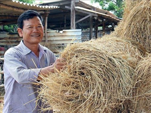 Ông Đạo Thanh Thích tích trữ phụ phẩm nông nghiệp cho gia súc. Ảnh: Công Thử - TTXVN Ông Đạo Thanh Thích tích trữ phụ phẩm nông nghiệp cho gia súc. Ảnh: Công Thử - TTXVN