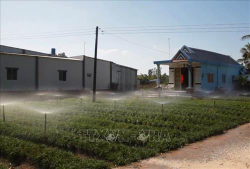 Hệ thống tưới nước tự động cho vườn hẹ tiết kiệm chi phí gấp nhiều lần so với cách tưới nước thông thường. Ảnh: Hồng Đạt – TTXVN Hệ thống tưới nước tự động cho vườn hẹ tiết kiệm chi phí gấp nhiều lần so với cách tưới nước thông thường. Ảnh: Hồng Đạt – TTXVN