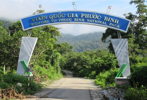 Đường vào Vườn quốc gia Phước Bình. Đường vào Vườn quốc gia Phước Bình.