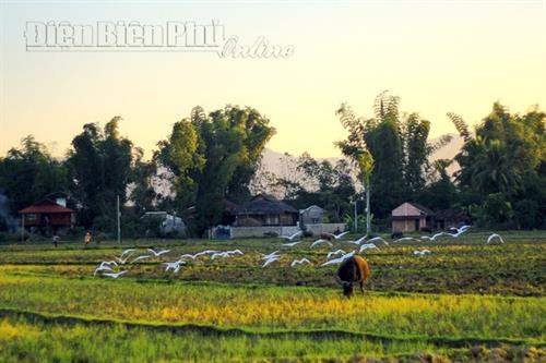 Điện Biên qua ống kính ảnh 2 Điện Biên qua ống kính ảnh 2