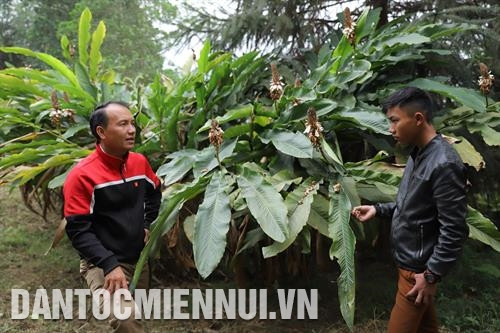 Cán bộ nông nghiệp xã Huồi Tụ, huyện Kỳ Sơn giải thích ý nghĩa của việc đảm bảo diện tích trồng bo bo theo đúng quy hoạch. Ảnh: Nam Sương