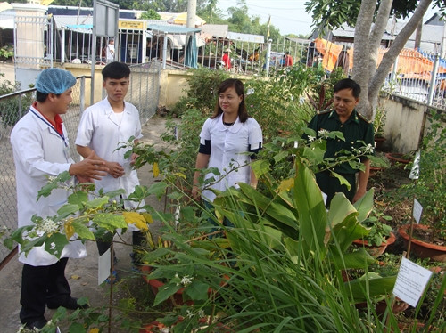 Bác sỹ Lưu Thanh Tuấn (ngoài cùng bên trái), Trưởng phòng khám đa khoa quân dân y Dinh Bà (Đồng Tháp) trao đổi với các đồng nghiệp về các loại cây thuốc nam