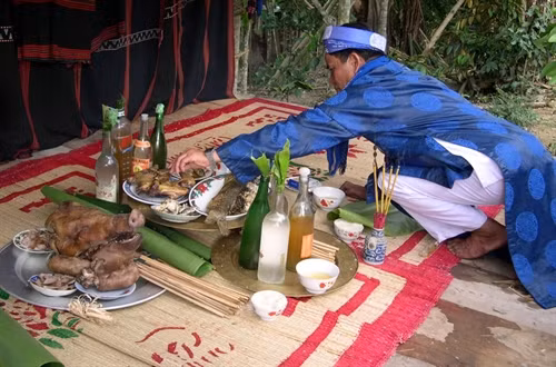 Chủ nhà người Cor thực hiện nghi thức cúng heo chín.