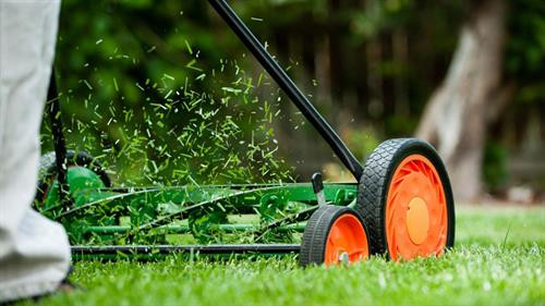 Không được đặt tên ngớ ngẩn cho con: Pháp luật Thụy Sĩ yêu cầu các bậc phụ huynh phải cân nhắc đến tương lai đứa trẻ khi đặt tên cho con. Trong đó, bố mẹ không được phép đặt những tên gọi có thể làm tổn hại tới cuộc sống của đứa trẻ hay xúc phạm một bên nào đó. Ảnh: Travel Mamas. Không được đứng tiểu sau 22h: Điều luật này được áp dụng với nam giới, do hành động này gây ra quá nhiều tiếng động và có thể khiến các công dân khác tỉnh giấc. Ngoài ra, một số khu nhà còn quy định không được xả toilet sau 22h để tránh ảnh hưởng tới người cùng khu. Sau “giờ vàng” này, nếu sập cửa ôtô mạnh, bạn cũng sẽ bị phạt. Ảnh: Shutterstock. Phải đóng thuế cho chó: Ở Thụy Sĩ, chủ nhân phải đóng thuế cho cún cưng của mình. Một số bang thu mức thuế chung, số khác quy định thuế theo kích cỡ và trọng lượng của con vật. Ảnh: Switzerland Tourism. Phải có bạn chơi cho thú nuôi: Từ năm 2005, Thụy Sĩ đã thông qua luật đảm bảo rằng những “động vật xã hội” (ví dụ như chuột lang hay cá vàng) phải có bạn cùng loài và không bị nhốt trong lồng quá nhỏ. Ảnh: Fact Retriever. Không được tái chế vào chủ nhật: Người Thụy Sĩ tự hào là một trong những quốc gia giỏi tái chế nhất thế giới. Tuy nhiên, nếu đem rác thải cần tái chế bỏ vào các thùng công cộng trong ngày chủ nhật, bạn sẽ bị phạt tiền và bị tạm giam vài ngày. Ảnh: Newly Swissed. Không được xén cỏ vào chủ nhật: Đây là một phần trong chiến dịch chống tiếng ồn quá mức. Trong đó, người dân không được sử dụng máy xén cỏ vào chủ nhật để tránh gây ồn ào, phá hỏng ngày nghỉ ngơi của người khác. Việc tự rửa xe ở nhà vào ngày cuối tuần cũng bị cấm. Ảnh: Askmen. Phải có nơi trú ẩn tránh hạt nhân: Mọi ngôi nhà ở Thụy Sĩ đều phải có hoặc có khả năng tiếp cận một khu tránh bom nguyên tử. Ảnh: Daily Mail. Cấm tuyên chiến với nước khác: Theo luật pháp quy định, không công dân Thụy Sĩ nào có quyền tuyên bố chiến tranh với các quốc gia khác. Ảnh: The Atlantic.