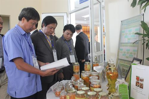 Việt Nam chia sẻ kinh nghiệm xây dựng chính sách hỗ trợ lao động việc làm cho người dân tộc thiểu số ảnh 7