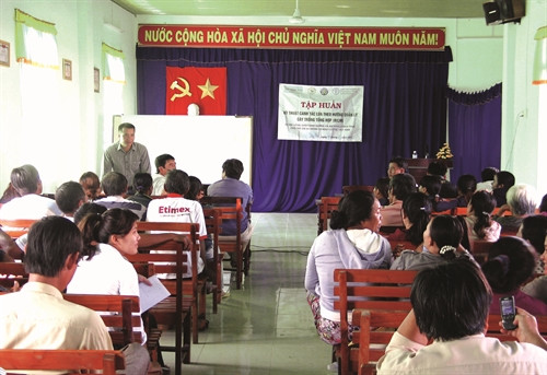 Tổ chức tập huấn, hướng dẫn kỹ thuật canh tác lúa cho đồng bào