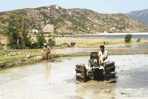 Tận dụng nguồn nước ít ỏi để canh tác