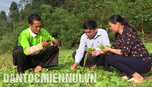 Ông Sung Văn Cấu, người dân tộc Mông (áo xanh) trú tại bản Mùa Xuân, xã Sơn Thủy, huyện Quan Sơn (Thanh Hóa) là tấm gương điển hình góp phần xây dựng vùng biên giới ngày càng bình yên. Ảnh: Nguyễn Nam Ông Sung Văn Cấu, người dân tộc Mông (áo xanh) trú tại bản Mùa Xuân, xã Sơn Thủy, huyện Quan Sơn (Thanh Hóa) là tấm gương điển hình góp phần xây dựng vùng biên giới ngày càng bình yên. Ảnh: Nguyễn Nam