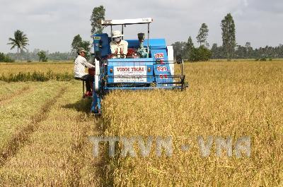 Thu họach lúa hè thu bằng máy gặt đập liên hợp trên cánh đồng xã An Trường, huyện Càng Long. Ảnh: Huy Hòang-TTXVN Thu họach lúa hè thu bằng máy gặt đập liên hợp trên cánh đồng xã An Trường, huyện Càng Long. Ảnh: Huy Hòang-TTXVN