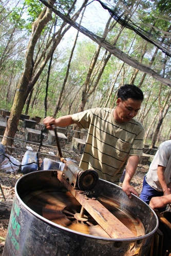 Đều tay quay mật.