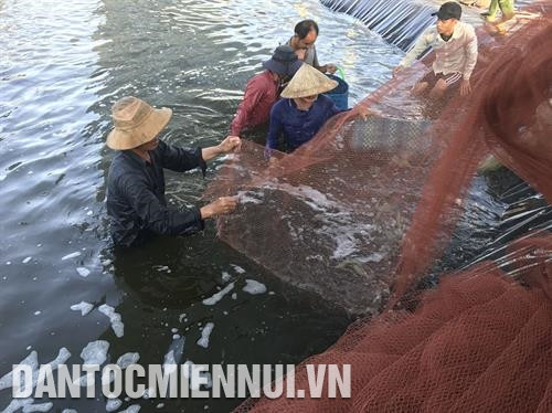 Nước ở ao nuôi từ lúc san nuôi đến thu hoạch luôn phải được xử lý cẩn thận để tránh tôm bị sốc. Nước ở ao nuôi từ lúc san nuôi đến thu hoạch luôn phải được xử lý cẩn thận để tránh tôm bị sốc.