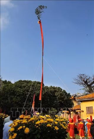 Lễ dựng nêu tại Hiển Lâm Các – Thế Miếu, Đại Nội Huế. Ảnh: Hồ Cầu-TTXVN