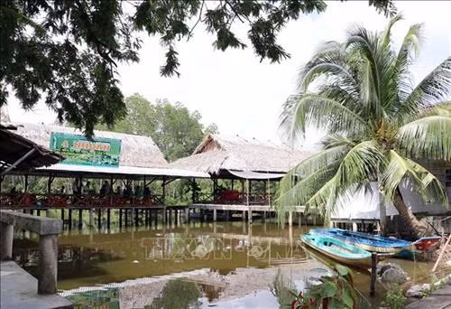 Du lịch sinh thái đang là điểm nhấn quan trọng thu hút du khách đến thăm Đất Mũi Cà Mau. Ảnh: Thế Anh-TTXVN