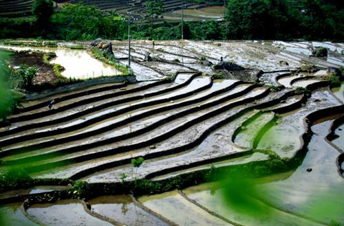 Người dân lấy nước vào ruộng chuẩn bị cho vụ lúa mới tại xã Tả Lèng, huyện Tam Đường tỉnh Lai Châu. Ảnh: Quý Trung - TTXVN Để có những thửa ruộng bậc thang chạy dài uốn quanh sườn núi là công sức của bao đời của nhân dân các vùng núi cao. Ảnh: Quý Trung - TTXVN Người dân tập trung cấy trên những cánh đồng đã đầy no nước trời tại xã Tả Lèng huyện Tam Đường tỉnh Lai Châu. Ảnh: Quý Trung - TTXVN Nhiều hộ dân có điều kiện đầu tư máy cầy để phục vụ cho một vụ mùa mới. Ảnh: Quý Trung - TTXVN Những cơn mưa lớn mang dòng nước nguồn từ trên các ngọn núi đổ xuống những ruộng bậc thang tạo thành những vệt màu đa sắc, càng làm sống động bức tranh bình dị của xã Tà Lèng, huyện Tam Đường tỉnh Lai Châu. Ảnh: Quý Trung - TTXVN Người dân lấy nước vào ruộng chuẩn bị cho vụ lúa mới tại xã Tả Lèng, huyện Tam Đường tỉnh Lai Châu. Ảnh: Quý Trung - TTXVN Để có những thửa ruộng bậc thang chạy dài uốn quanh sườn núi là công sức của bao đời của nhân dân các vùng núi cao. Ảnh: Quý Trung - TTXVN Người dân tập trung cấy trên những cánh đồng đã đầy no nước trời tại xã Tả Lèng huyện Tam Đường tỉnh Lai Châu. Ảnh: Quý Trung - TTXVN Nhiều hộ dân có điều kiện đầu tư máy cầy để phục vụ cho một vụ mùa mới. Ảnh: Quý Trung - TTXVN Những cơn mưa lớn mang dòng nước nguồn từ trên các ngọn núi đổ xuống những ruộng bậc thang tạo thành những vệt màu đa sắc, càng làm sống động bức tranh bình dị của xã Tà Lèng, huyện Tam Đường tỉnh Lai Châu. Ảnh: Quý Trung - TTXVN