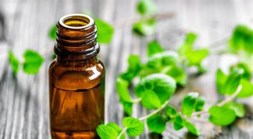 Tinh dầu bạc hà có nhiều lợi ích đối với sức khỏe. Ảnh minh họa Tinh dầu bạc hà có nhiều lợi ích đối với sức khỏe. Ảnh minh họa