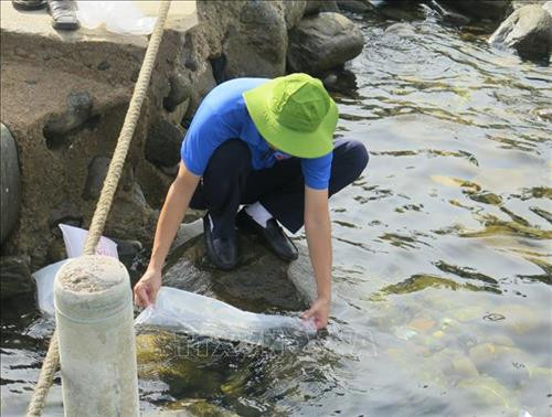 Đoàn viên, thanh niên thành phố Nha Trang thả tôm tái tạo nguồn lợi thủy sản. Ảnh: Phan Sáu - TTXVN Đoàn viên, thanh niên thành phố Nha Trang thả tôm tái tạo nguồn lợi thủy sản. Ảnh: Phan Sáu - TTXVN