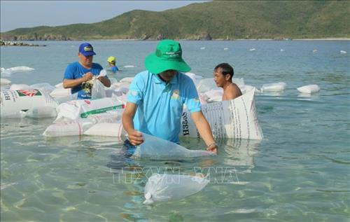 Đoàn viên, thanh niên thành phố Nha Trang và cán bộ nghiên cứu giống trên địa bàn tỉnh Khánh Hòa thả tôm tái tạo nguồn lợi thủy sản. Ảnh: Phan Sáu - TTXVN Đoàn viên, thanh niên thành phố Nha Trang và cán bộ nghiên cứu giống trên địa bàn tỉnh Khánh Hòa thả tôm tái tạo nguồn lợi thủy sản. Ảnh: Phan Sáu - TTXVN