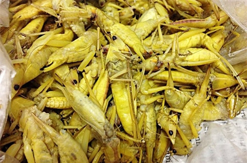 Muồm muỗm thường xuất hiện vào thời điểm đầu hè. Cách chế biến món này khá dễ, sau khi làm sạch, muồn muỗn om với nước măng chua (hoặc giấm gạo) trên bếp lửa liu riu. Cạn nước, cho mỡ (hoặc dầu ăn) vào, đảo đều tay trên bếp to lửa; khi nào nghe tiếng nổ lách tách tức là muồm muỗm đã chín giòn, cho bột canh (hoặc nước mắm, hạt nêm...) vừa đủ cùng với mì chính, một chút ớt tươi. Cuối cùng, cho lá chanh thái chỉ nhỏ vào, đảo đều chín tới lá chanh là bắc chảo ra được. Muồm muỗm rang chín có màu vàng sậm, rất thơm ngậy. Thông thường mọi người chế biến món này bằng cách vặt cánh,cắt bỏ chân, rửa sạch rồi đem lên rang với hành khô, gừng, lá chanh, nước mắm...