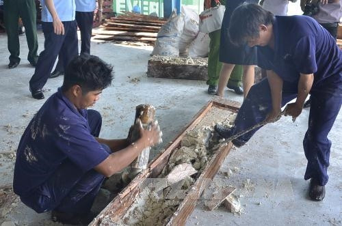 Phát hiện gần 1 tấn ngà voi châu Phi giấu trong gỗ tại cảng Cát Lái (Tp. Hồ Chí Minh) ảnh 1 Phát hiện gần 1 tấn ngà voi châu Phi giấu trong gỗ tại cảng Cát Lái (Tp. Hồ Chí Minh) ảnh 1