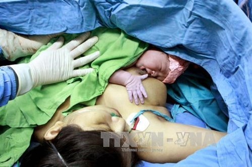 Dân số Việt Nam vẫn ổn định, chưa vượt 92 triệu người ảnh 1