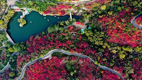 Du khách chiêm ngưỡng hàng cây lá phong đỏ tại Hàm Đan, tỉnh Hà Bắc, Trung Quốc. Ảnh: THX/TTXVN. Hoa cúc khoe sắc tại triển lãm hoa quốc tế Bắc Kinh, Trung Quốc. Ảnh: THX/ TTXVN Hoa cúc nở rộ tại Bắc Kinh, Trung Quốc. Ảnh: THX/TTXVN Người dân thăm triển lãm hoa quốc tế Bắc Kinh, Trung Quốc. Ảnh: THX/TTXVN Cảnh sắc mùa thu tại Tửu Tuyền, tỉnh Cam Túc, miền Tây Bắc Trung Quốc. Ảnh: THX/TTXVN Du khách chiêm ngưỡng cảnh đẹp tại Tửu Tuyền, tỉnh Cam Túc, miền Tây Bắc Trung Quốc. Ảnh: THX/TTXVN Mùa thu vàng hấp dẫn du khách tại Tửu Tuyền, tỉnh Cam Túc, miền Tây Bắc Trung Quốc. Ảnh: THX/TTXVN Sắc màu thu tại Khu tự trị Nội Mông, miền Bắc Trung Quốc. Ảnh: THX/TTXVN phát Sắc màu thu tại Tế Nam, tỉnh Sơn Đông, Trung Quốc ngày 21/10/2019. Ảnh: THX/TTXVN phát Du khách chiêm ngưỡng hàng cây lá phong đỏ tại Hàm Đan, tỉnh Hà Bắc, Trung Quốc. Ảnh: THX/TTXVN. Hoa cúc khoe sắc tại triển lãm hoa quốc tế Bắc Kinh, Trung Quốc. Ảnh: THX/ TTXVN Hoa cúc nở rộ tại Bắc Kinh, Trung Quốc. Ảnh: THX/TTXVN Người dân thăm triển lãm hoa quốc tế Bắc Kinh, Trung Quốc. Ảnh: THX/TTXVN Cảnh sắc mùa thu tại Tửu Tuyền, tỉnh Cam Túc, miền Tây Bắc Trung Quốc. Ảnh: THX/TTXVN Du khách chiêm ngưỡng cảnh đẹp tại Tửu Tuyền, tỉnh Cam Túc, miền Tây Bắc Trung Quốc. Ảnh: THX/TTXVN Mùa thu vàng hấp dẫn du khách tại Tửu Tuyền, tỉnh Cam Túc, miền Tây Bắc Trung Quốc. Ảnh: THX/TTXVN Sắc màu thu tại Khu tự trị Nội Mông, miền Bắc Trung Quốc. Ảnh: THX/TTXVN phát Sắc màu thu tại Tế Nam, tỉnh Sơn Đông, Trung Quốc ngày 21/10/2019. Ảnh: THX/TTXVN phát